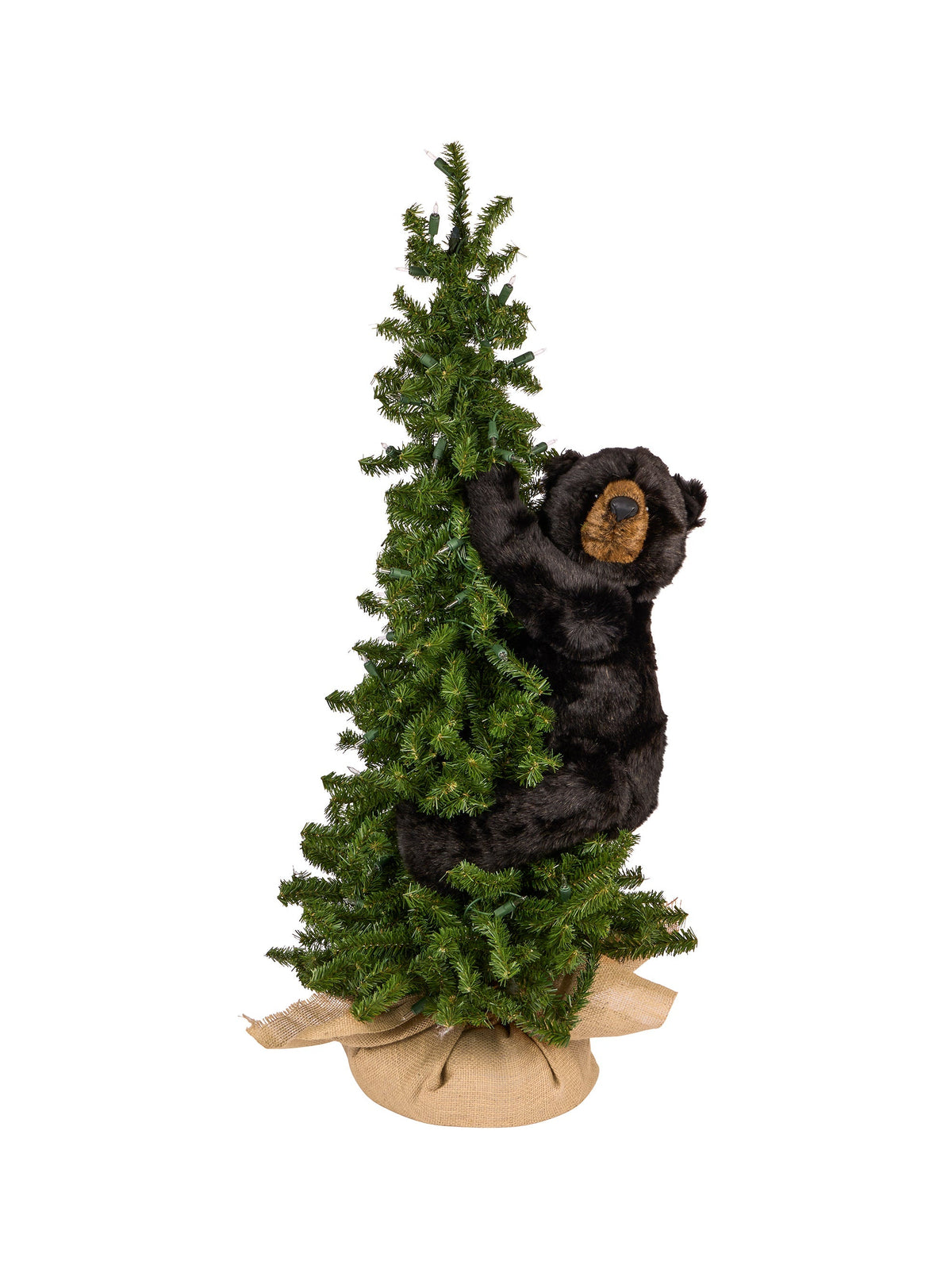 Pine Tree Black Bear