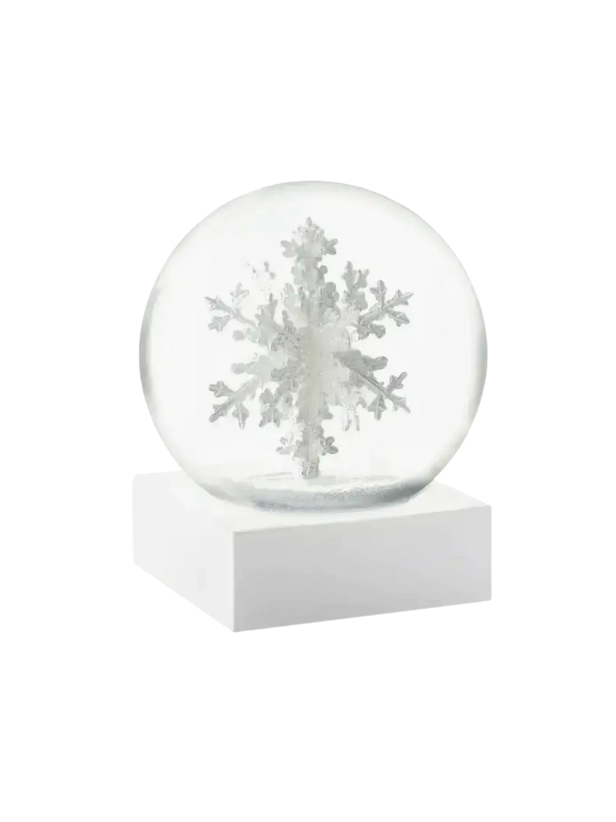 Snowflake Snow Globe
