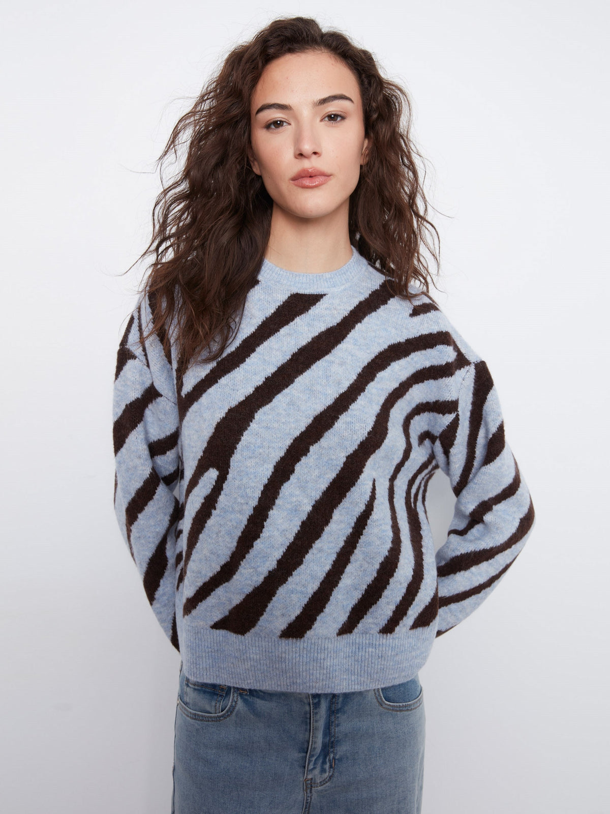Animal Print Knit Sweater - Blue Zebra