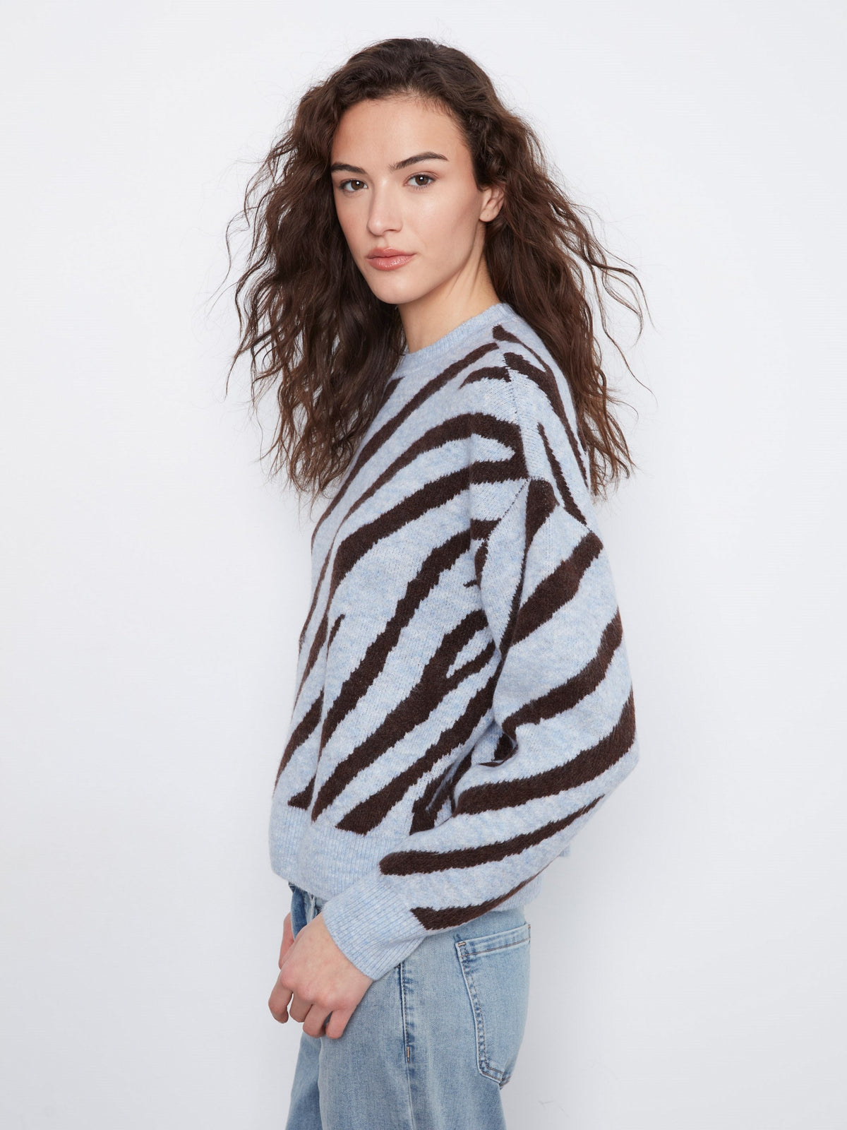 Animal Print Knit Sweater - Blue Zebra