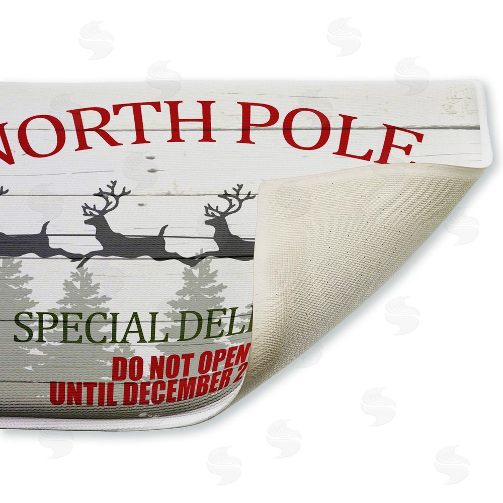 Kim Allen | Special Delivery Holiday Sleigh Plush Bath Mat