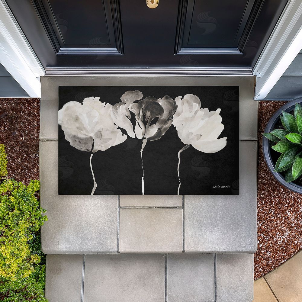 Lanie Loreth | Trio in Light on Black Non-Woven Door Mat