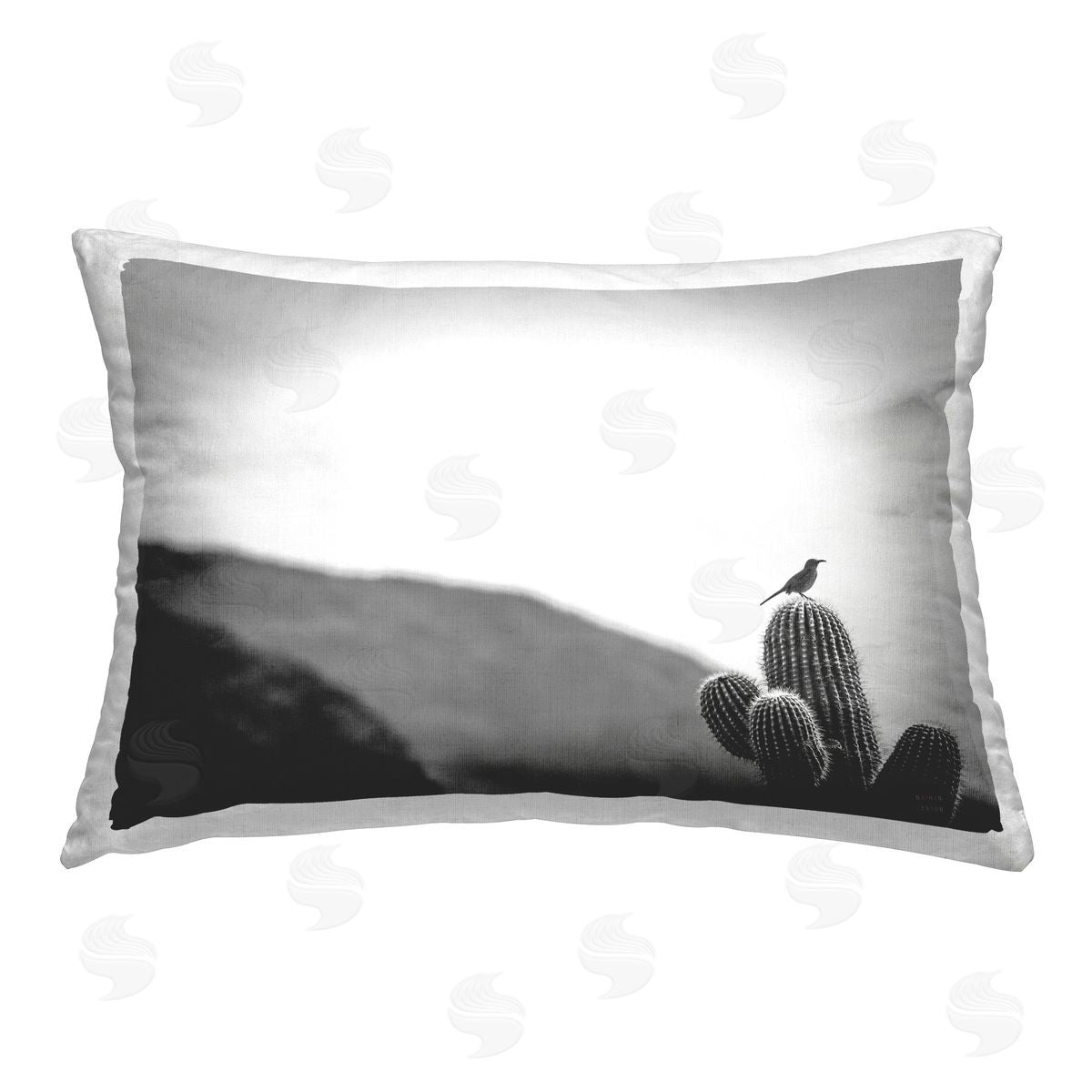 Nathan Larson | On Guard Bird & Cactus