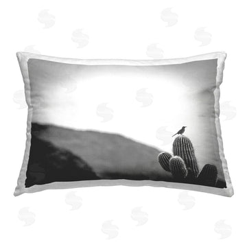 Nathan Larson | On Guard Bird & Cactus