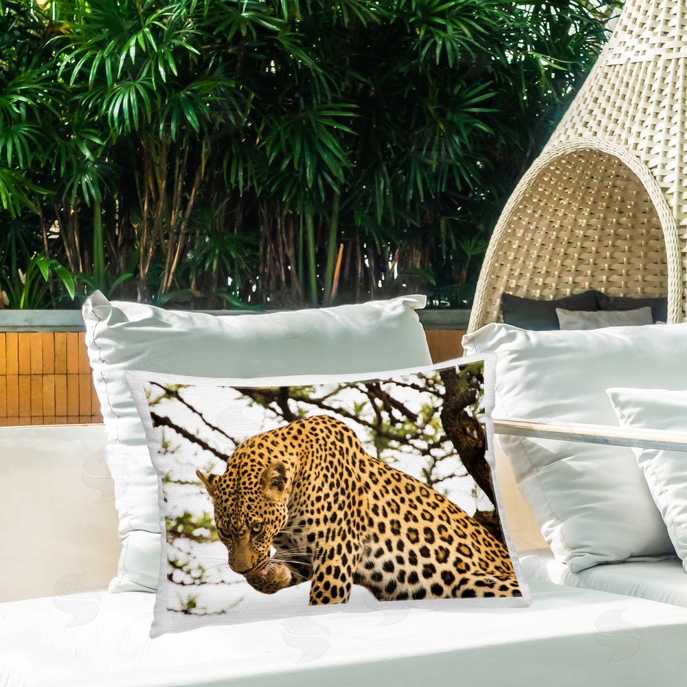 Max Blakesberg Studios | Leopard After Lunch