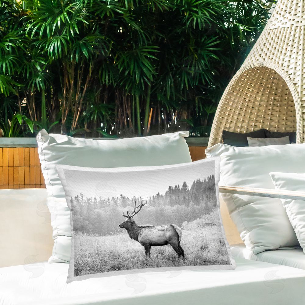 Sisi and Seb | Stoic American Elk