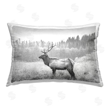 Sisi and Seb | Stoic American Elk