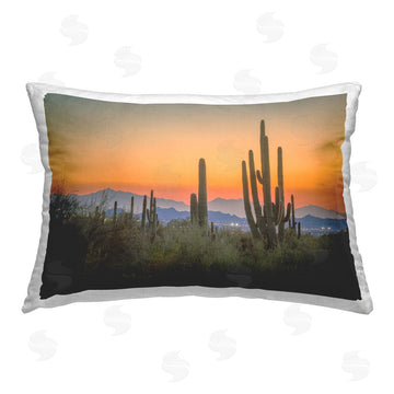 Marty Hulsebos | Looming Cacti Sunset