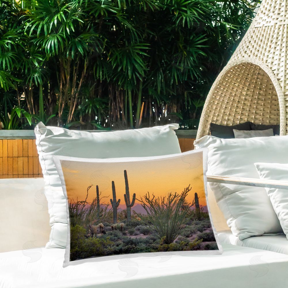 Marty Hulsebos | Sunset Desertscape Cacti