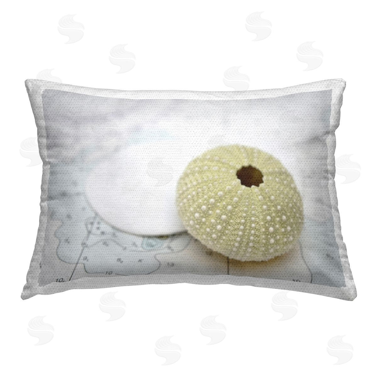 Savanah Plank | Aquatic Sea Urchin