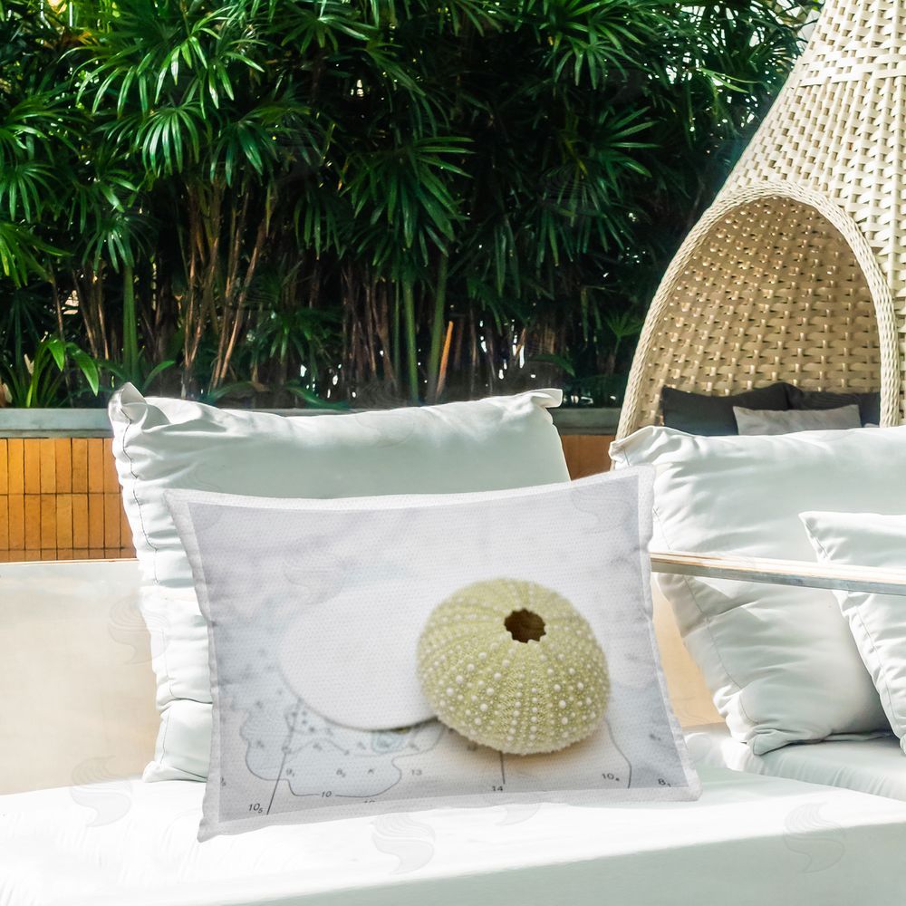 Savanah Plank | Aquatic Sea Urchin